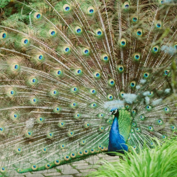 Meet your Posher, M - Picture 1 of 1